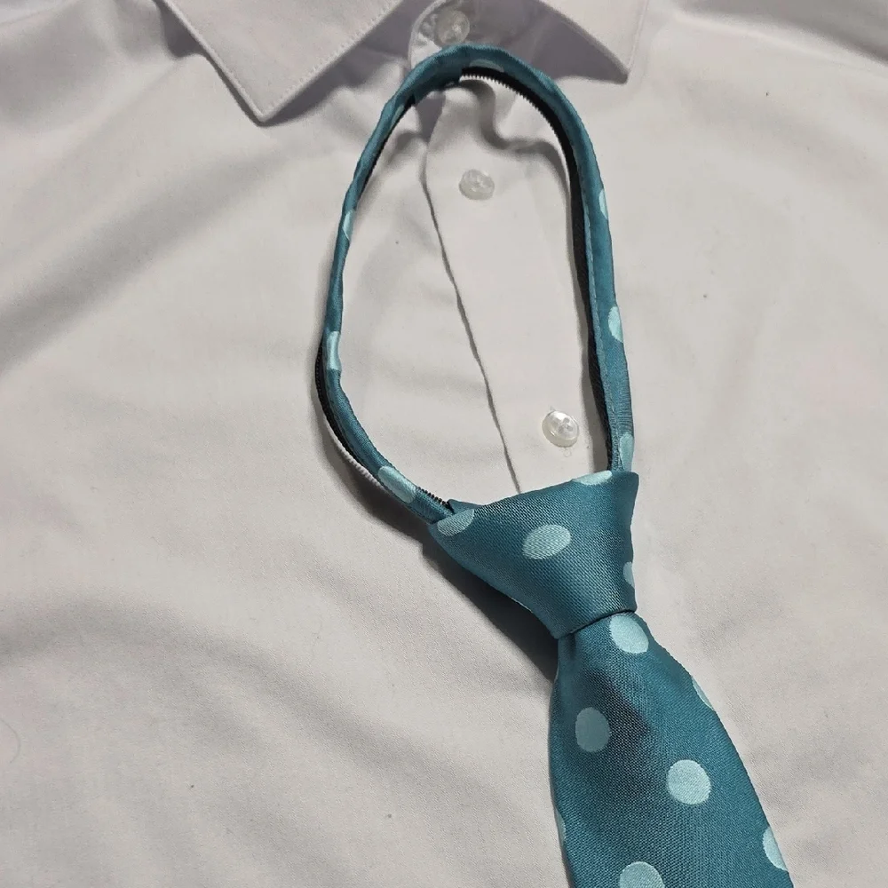 Stylish Blue Polka Dot Tie